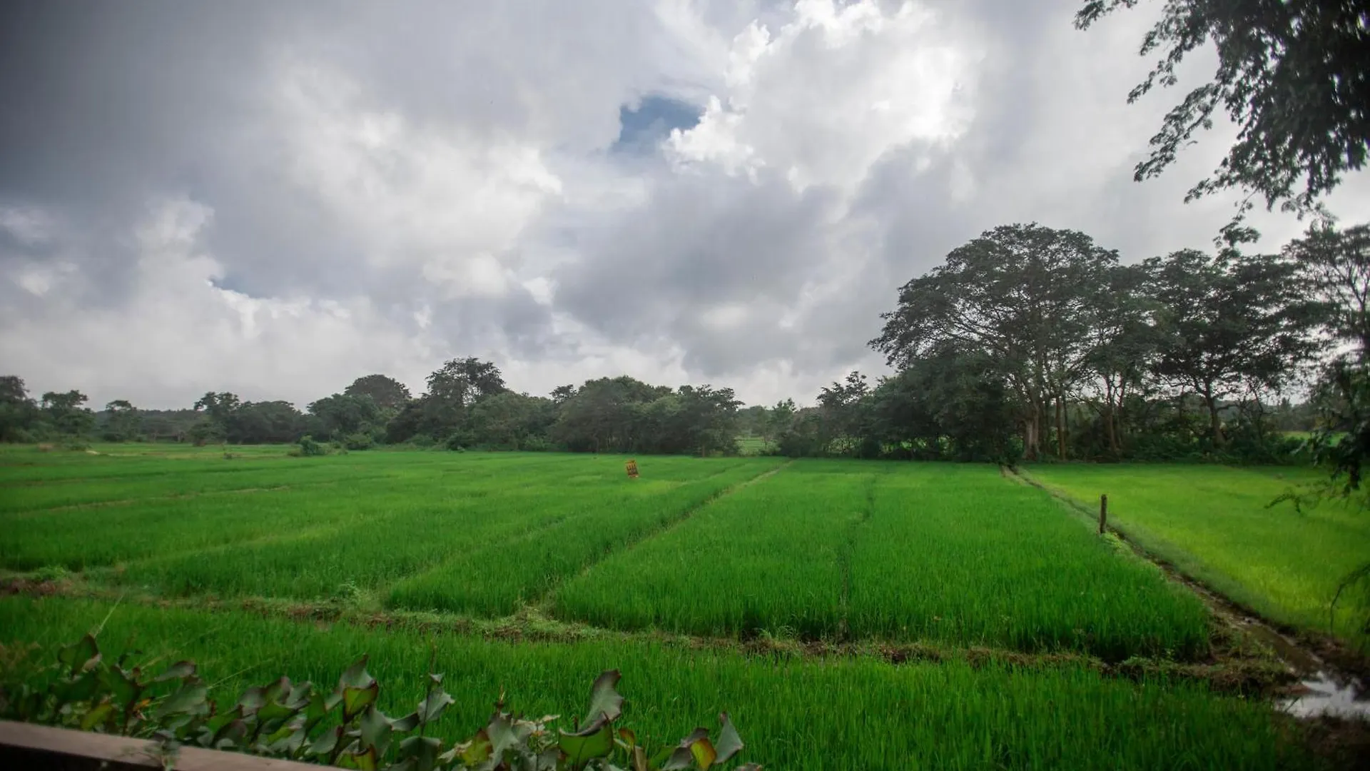 Kumbura Homestay Kibissa Sri Lanka