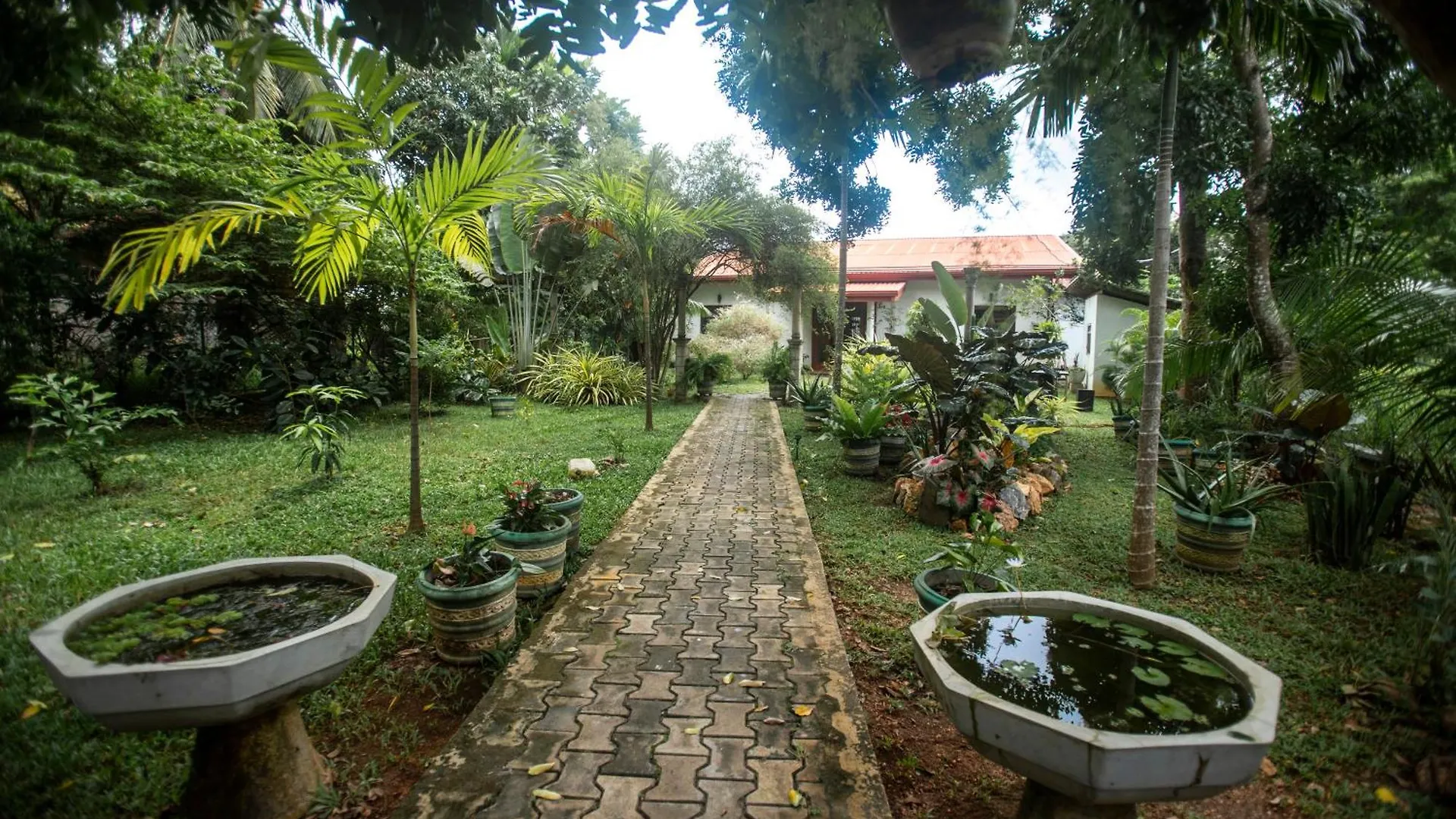 Kumbura Homestay Kibissa